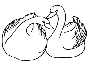Dois Cisnes Selvagens