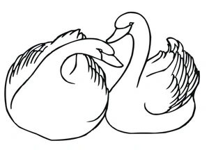 Página para Colorir Dois Cisnes Selvagens