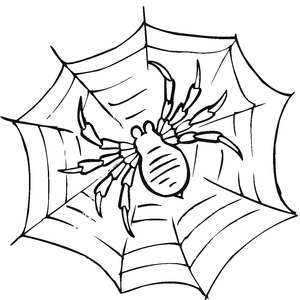 Página para Colorir com Tema de Aranha Tarântula Grátis
