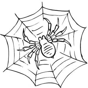 Página para Colorir Página para Colorir com Tema de Aranha Tarântula Grátis