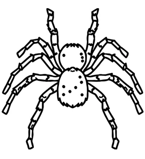 Página para Colorir Página para Colorir de Aranha Tarântula para Imprimir Grátis