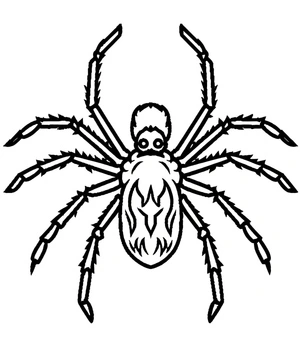Página para Colorir Página para Colorir de Aranha Tarântula para Imprimir