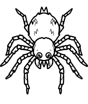 Página para colorir de Aranha Tarântula para imprimir