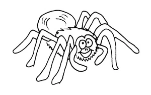Página para Colorir Tatuagem de Aranha Tarântula Desenho Animado