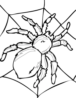 Página para Colorir Página para Colorir de Aranha Tarântula para Imprimir Grátis