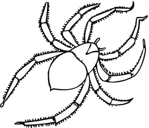 Página para Colorir Aranha Tarântula