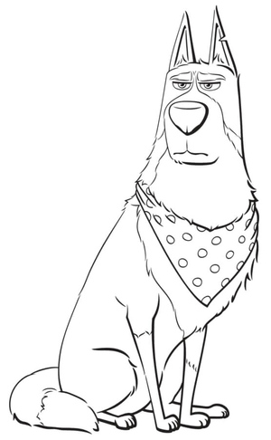 A Vida Secreta dos Pets