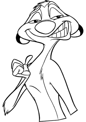 Timon Careta Engraçada