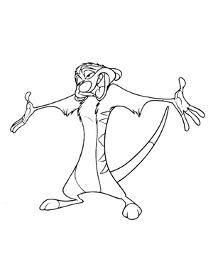Timon