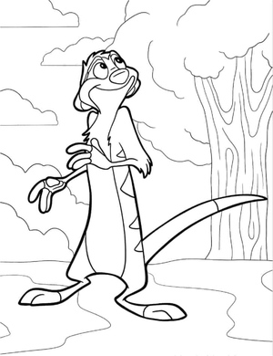 Timon Sorrindo em Pé