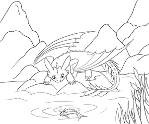 Fúria da Noite Pescando Peixes