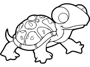 Uma Pequena Tartaruga