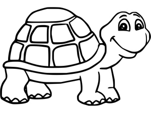 Tartaruga terrestre