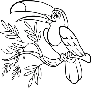 Página para Colorir Tucano Adorável