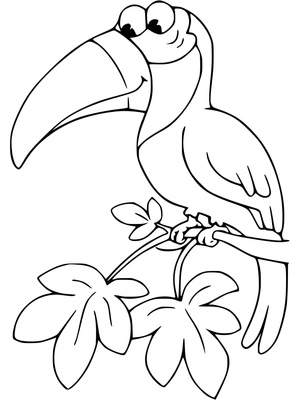 Página para Colorir Tucano Divertido