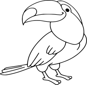 Tucano Bonito