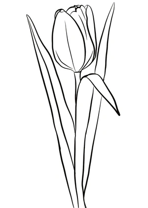 Página para Colorir Uma Tulipa