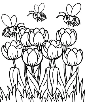 Página para Colorir Abelhas com Tulipas