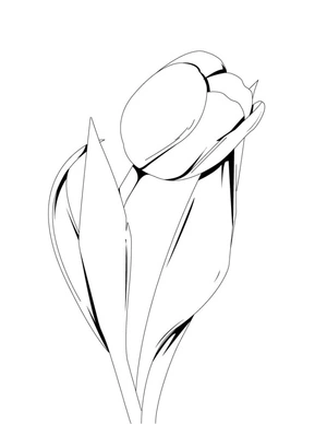 Página para Colorir Tulipa Deslumbrante