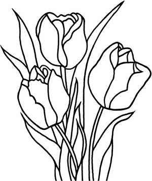 Página para Colorir Página para Colorir de Tulipa