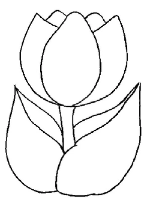 Página para Colorir Flor de Tulipa