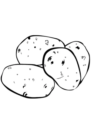 Página para Colorir Batatas Frescas do Jardim