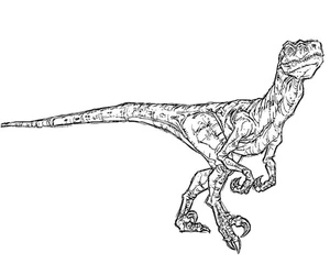 Página para Colorir Velociraptor Dois