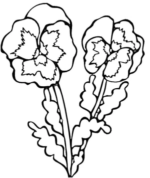 Página para Colorir Flores Encantadoras de Violeta