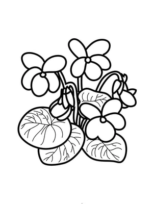 Página para Colorir Página para Colorir Flores Violetas para Imprimir Grátis