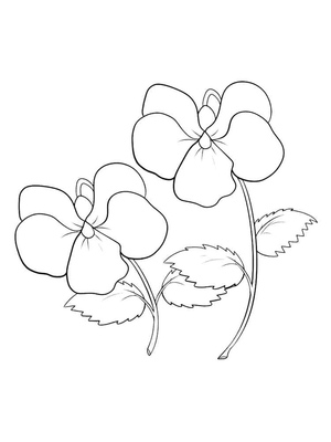 Página para Colorir de Flores Violetas para Imprimir