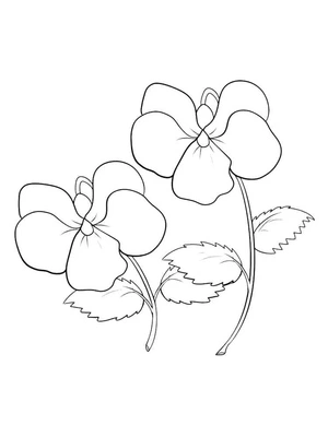 Página para Colorir Página para Colorir de Flores Violetas para Imprimir