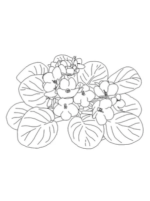 Página para Colorir Flores Violetas para Imprimir