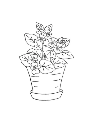 Página para Colorir Flores Roxas em um Vaso