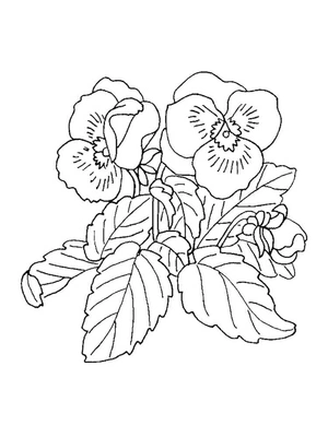 Página para Colorir Flores Roxas Simples
