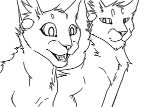 Guerreiros Cats