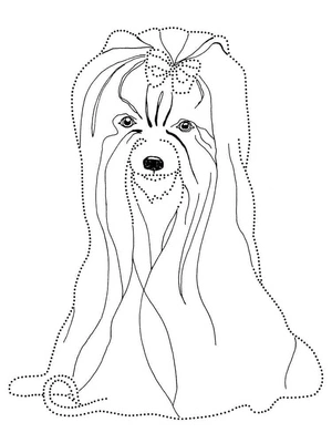 Página para Colorir Yorkshire Terrier Básico