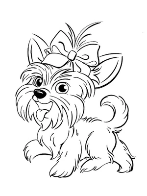 Página para Colorir Yorkie Encantador
