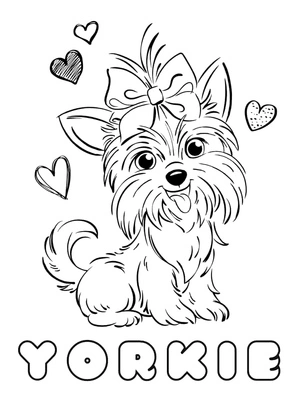 Página para Colorir Yorkshire Terrier Encantador