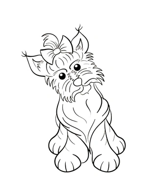 Página para Colorir Cachorro: Yorkshire Terrier