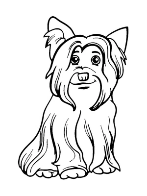 Página para Colorir Yorkshire Terrier Feliz