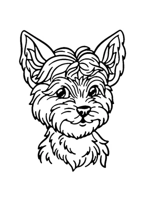 Página para Colorir Yorkshire Terrier Alegre