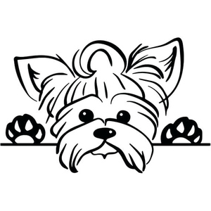 Página para Colorir de Yorkshire Terrier Fofo