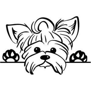 Página para Colorir Página para Colorir de Yorkshire Terrier Fofo