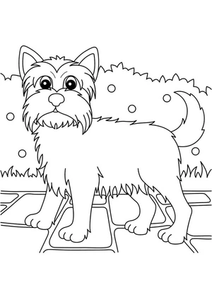 Página para Colorir Página para Colorir de Yorkie para Imprimir