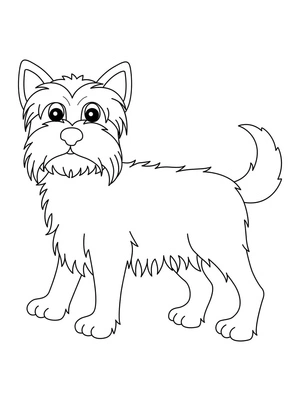 Página para Colorir Página para Imprimir de Yorkie