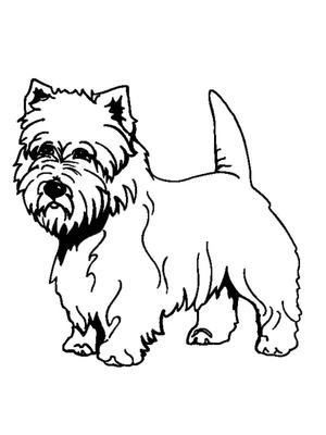 Página para Colorir Página para Colorir de Yorkshire Terrier para Imprimir
