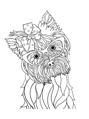 Página para Colorir Doce Yorkshire Terrier