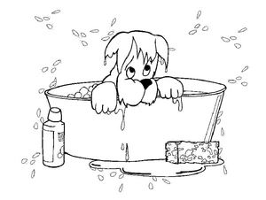 Página para Colorir Hora do Banho do Yorkshire Terrier