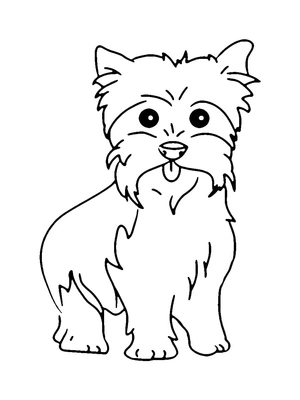 Página para Colorir Página de Colorir Grátis Yorkshire Terrier