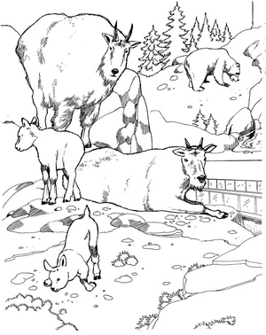 Zoológico
